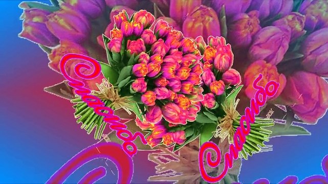 СПАСИБО ВСЕМ МОИМ ДРУЗЬЯМ.