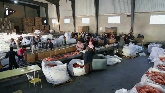 En Syrie, des convois humanitaires sont arrivés dans la ville assiégée de Madaya