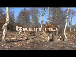 MORATORIUM 10 - VJEÇAR PER SHFRYTEZIMIN E PYJEVE