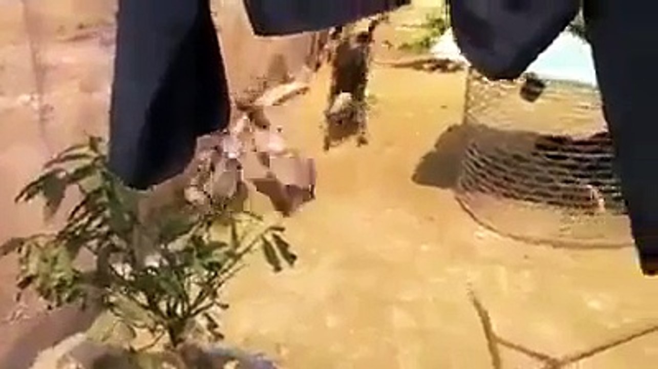 Vợ đánh chồng dã man