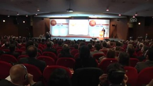 Uluslararası Enerji Ajansı İcra Direktörü Birol