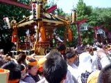 Sanja Matsuri