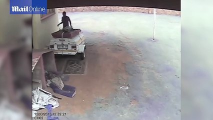 Burglar gets a nasty surprise as guard dog fends him off