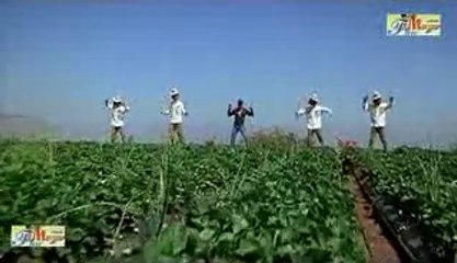 dont say alvida Na Kaho Alvida By- Salman Khan -Kareena Kapoor