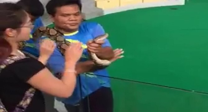 Une fille fait un bisou à un serpent