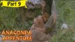 Anakonda Adventure | Telugu (Dubbed) Movie In Part 9/9 | Full HD