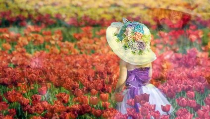 Da Khuc Cho Tinh Nhan