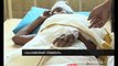 Stampede in Sabarimala: 15 pilgrims injured Sabarimala News