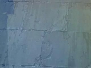 Jin-Roh part 6 vostfr
