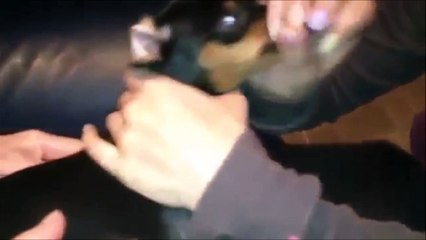 Blow in dog nose is just HILARIOUS