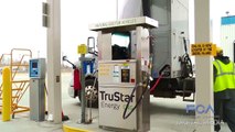 Transition to CNG Fleet Brings Cleaner Air, Lower Costs | FCA US LLC