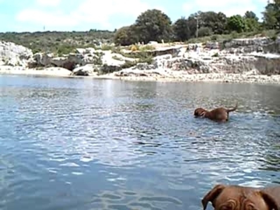 Photo 021