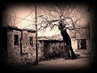 CEMAL KARAKUŞ: GLİKİ İÇİN İKİ ŞİİR / GÖKÇEDA (İMROZ) KASIM, 2015...