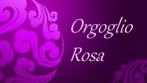 ORGOGLIO ROSA (Terza puntata)