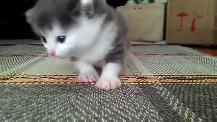 ilyayu5v@mail.ru