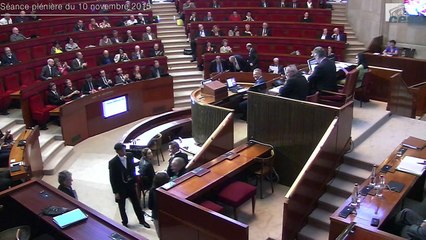 10-11-2015 - Experimentation chomage longue duree et materiaux biosources - seance du CESE
