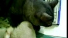 mimi playing with her doll part 1