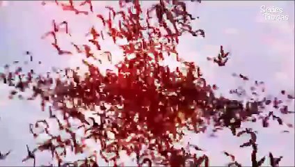 benim adim gultepe intro