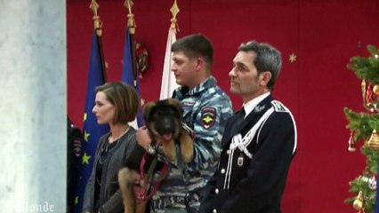 La Russie offre un chiot à la France pour remplacer Diesel