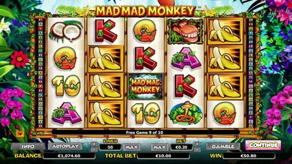Mad Mad Monkey