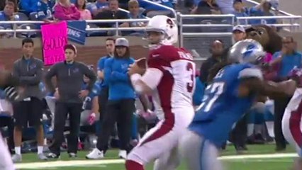 Vikings vs. Cardinals Week 14 Preview