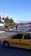 فيديو اليوم .. حصان هارب و يحوس قدام وزارة الخارجيّة ههههههه