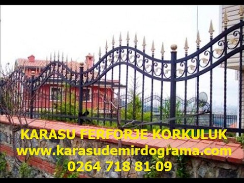Karasu Demir Dograma