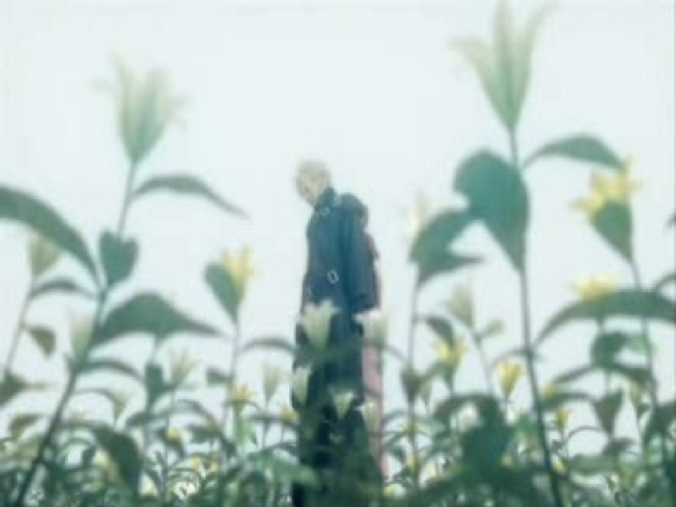 Final Fantasy Advent Children Amv
