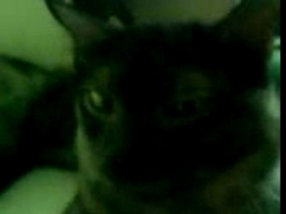 mimi part 2