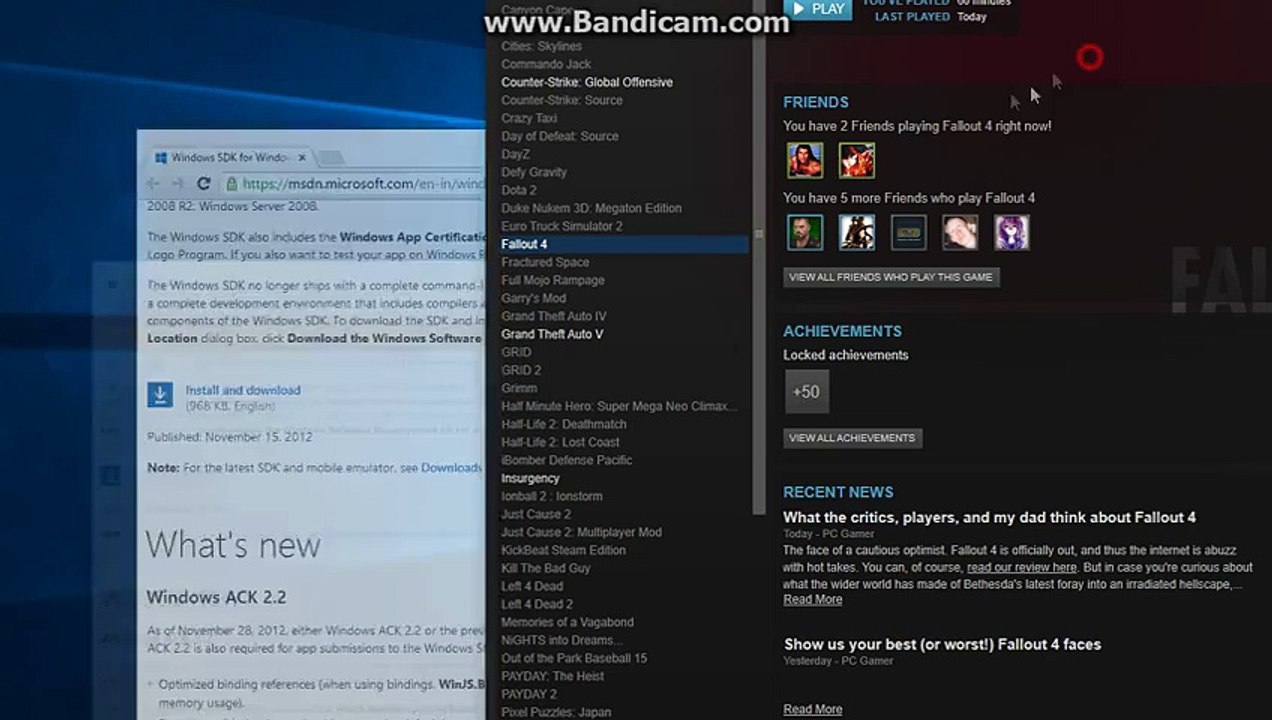 Fallout 4 black screen fix