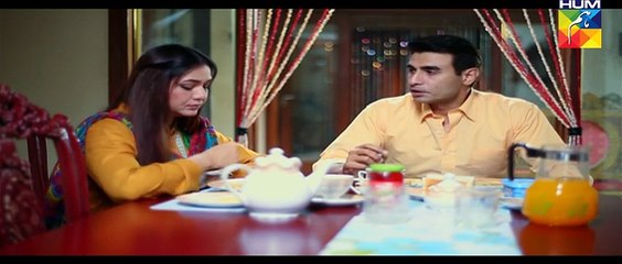 Tere Baghair Episode 2 on Hum tv HD Quality