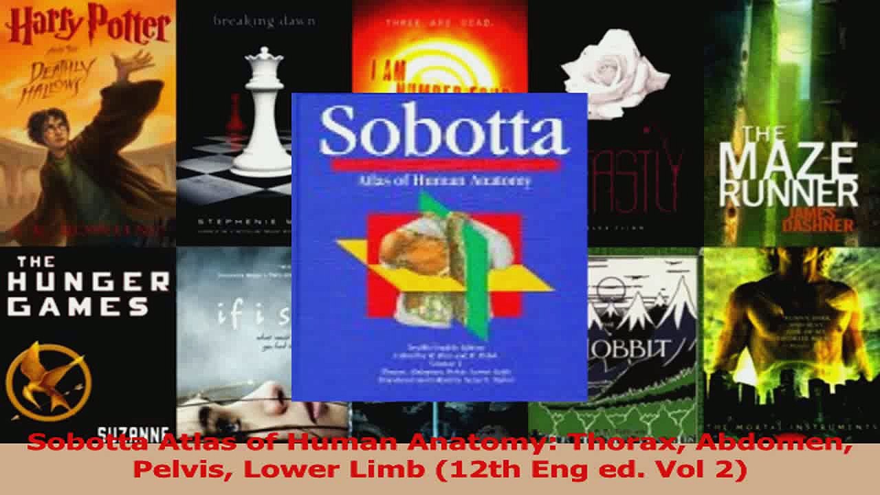 PDF Download  Sobotta Atlas of Human Anatomy Thorax Abdomen Pelvis Lower Limb 12th Eng ed Vol 2 Read Full Ebook