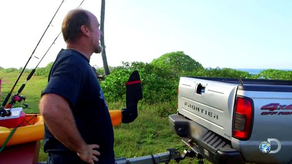 Birds Tell Fishermen What Lies Beneath the Waves