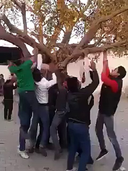 funny video 2015