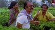 Tamil Movies || Michael Madhana Kama Rajan || Part-19 || Tamil Movies New Releases