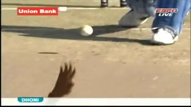 Umar Gul Stumps Flying Wickets