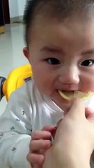 very funny baby tasted lemon very funny