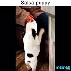 AH AH AH that sweet