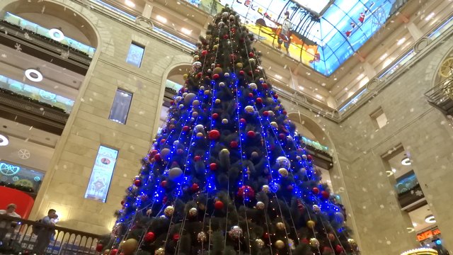 Новогодняя елка в центральном детском магазине
