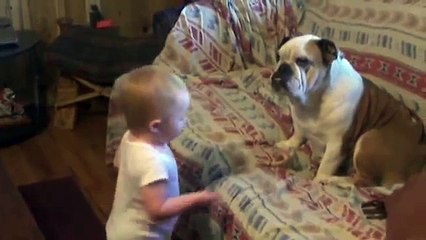 Baby Argues With Bulldog