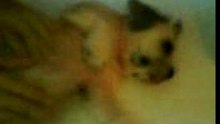 baby cute pose