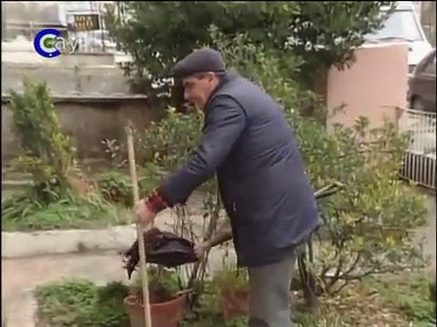 Bizimkiler 95-96 Sezonu Dizi İzle