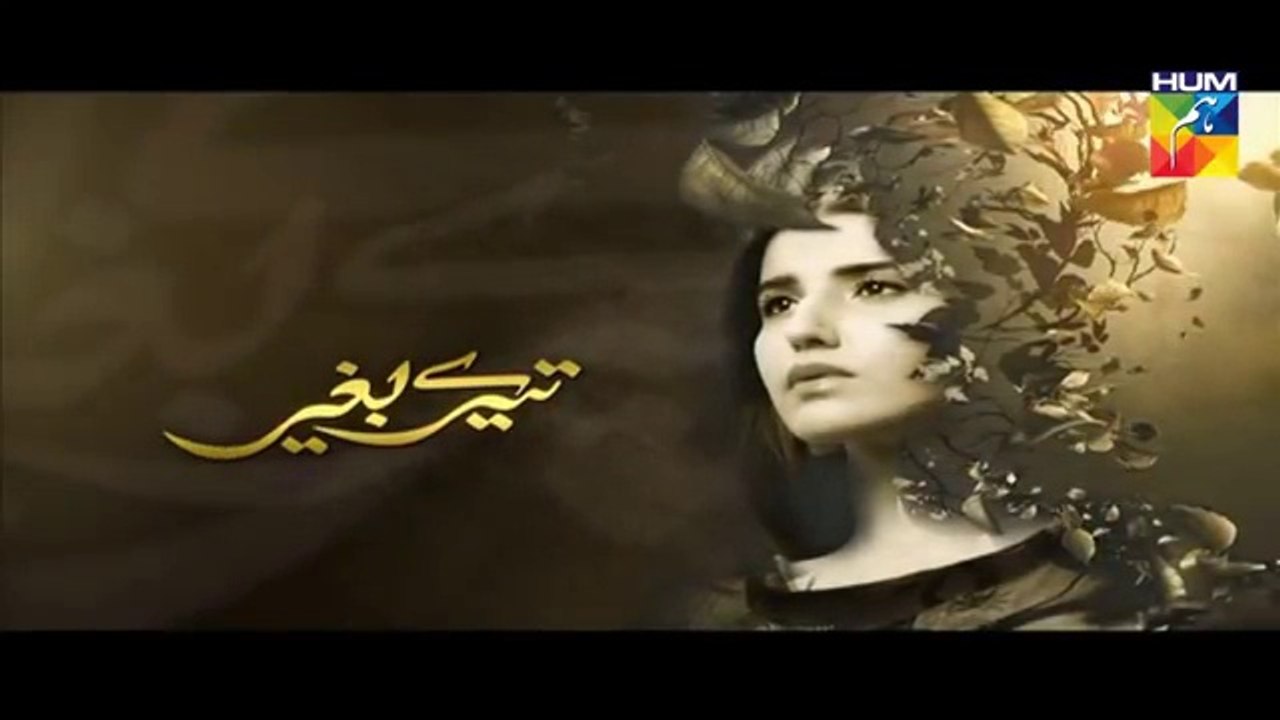 Tere Baghair Episode 2 Full HUM TV Drama 9 Dec 2015