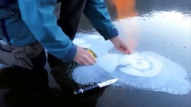 Такого вы еще не видели