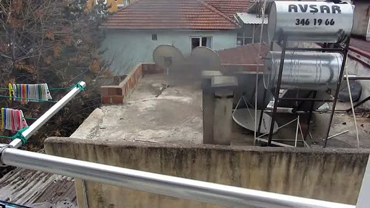 MVI_290