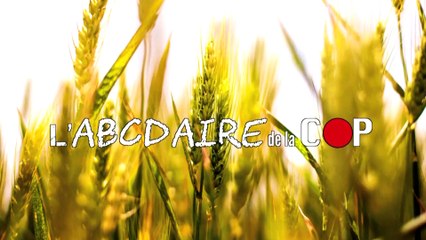 L'ABCDAIRE DE LA COP - Z'AVEZ TOUT COMPRIS ?!