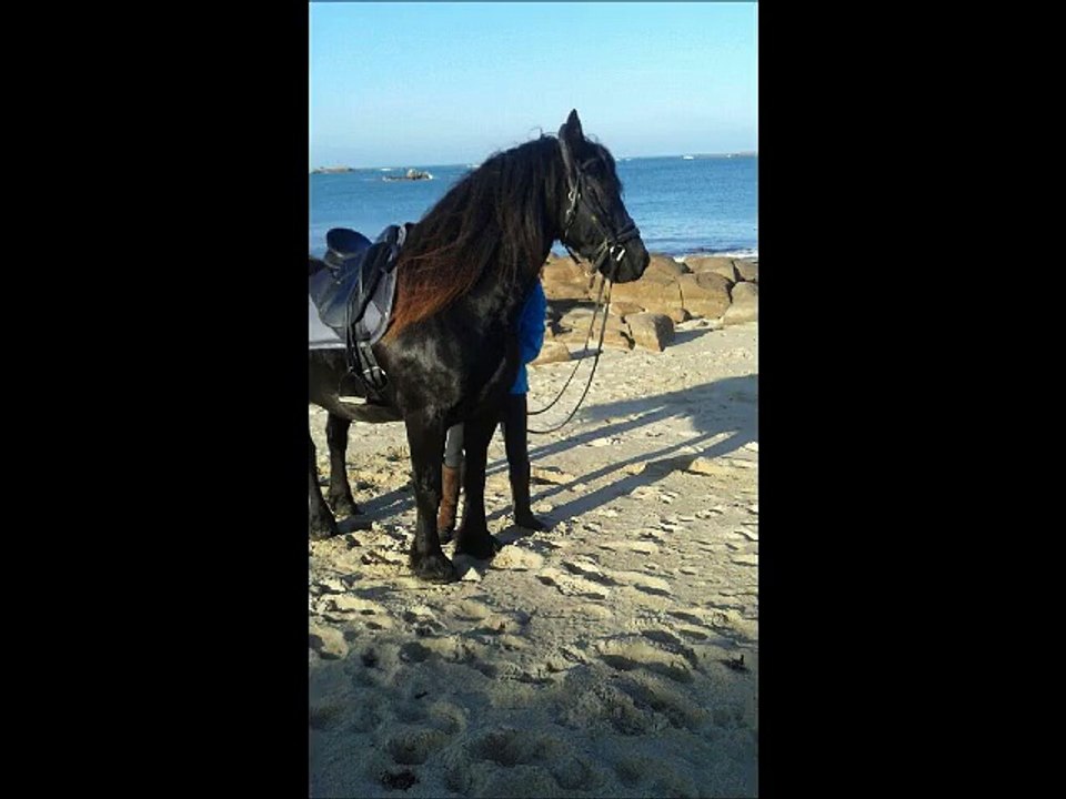 Hégon plage décembre 2015