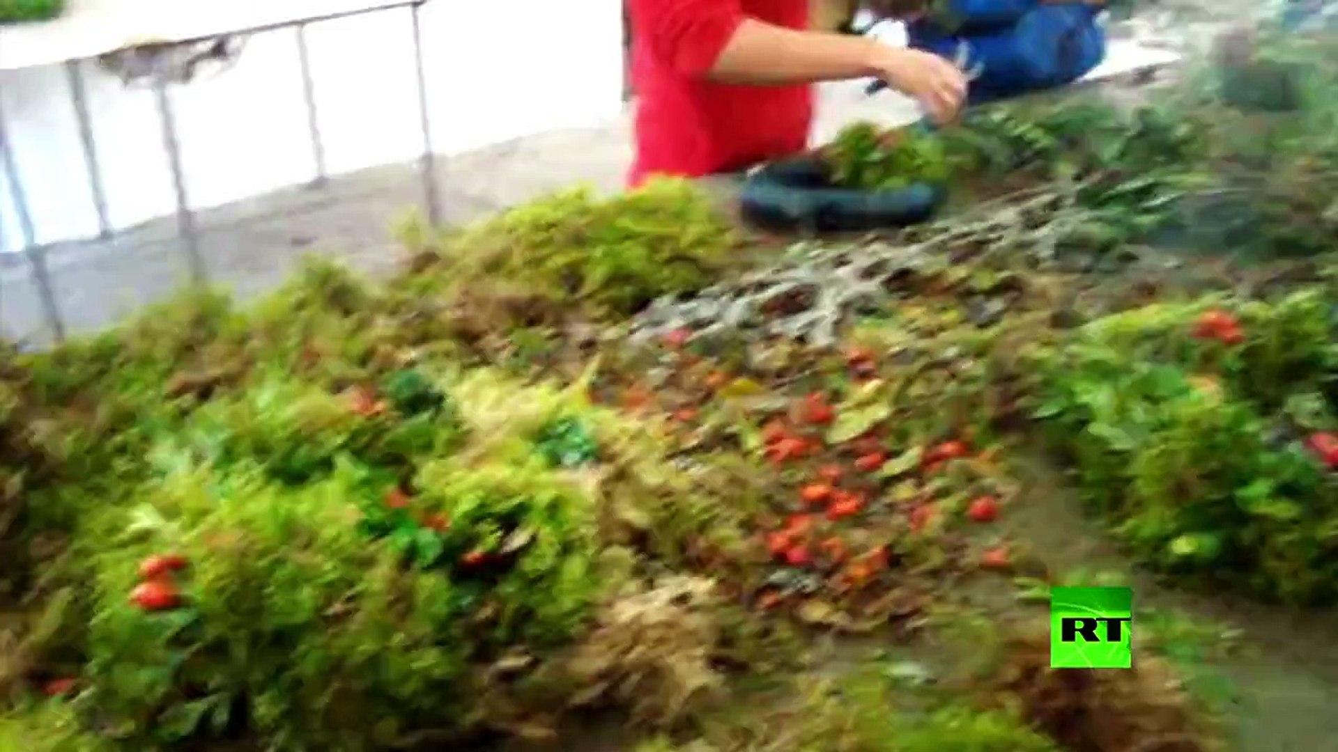 ⁣أوروبا . الوعد الكاذب | أفلام وثائقية