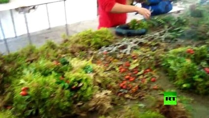 أوروبا . الوعد الكاذب | أفلام وثائقية