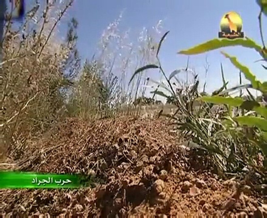 الحرب ضد الجراد ¦ وثائقي مثير